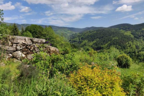 Superbe gîte Laugy dans les montagnes d'Ambert